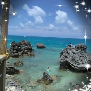 Meet your Posher, Dlynn